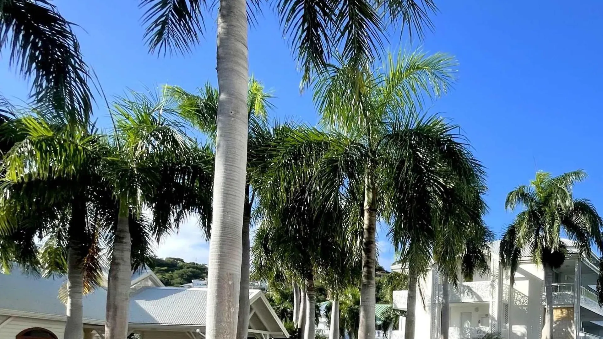 Studio A Anse Marcel Avec Parking Et Air Conditionne - Fr-1-734-53 Marigot  Διαμέρισμα Marigot (Saint Martin)